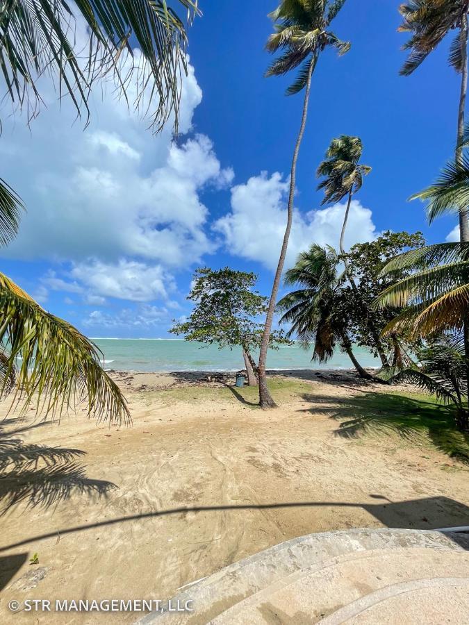 Upscale Condo At Aquatika Beach & Vacation Villas Loiza Bagian luar foto